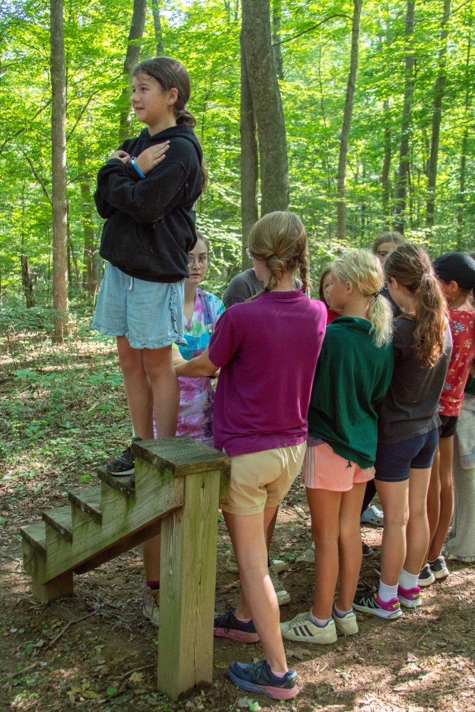 A small group of girls stand near a wooden platform with one girl standing on the platform preparing to perform a trust fall. 